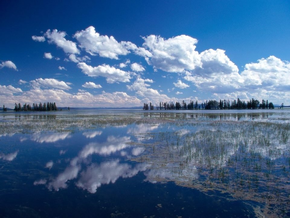 The Beauty Of Yellowstone National Park Traveldigg