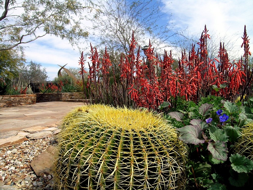 Garden Desert Botanical Garden