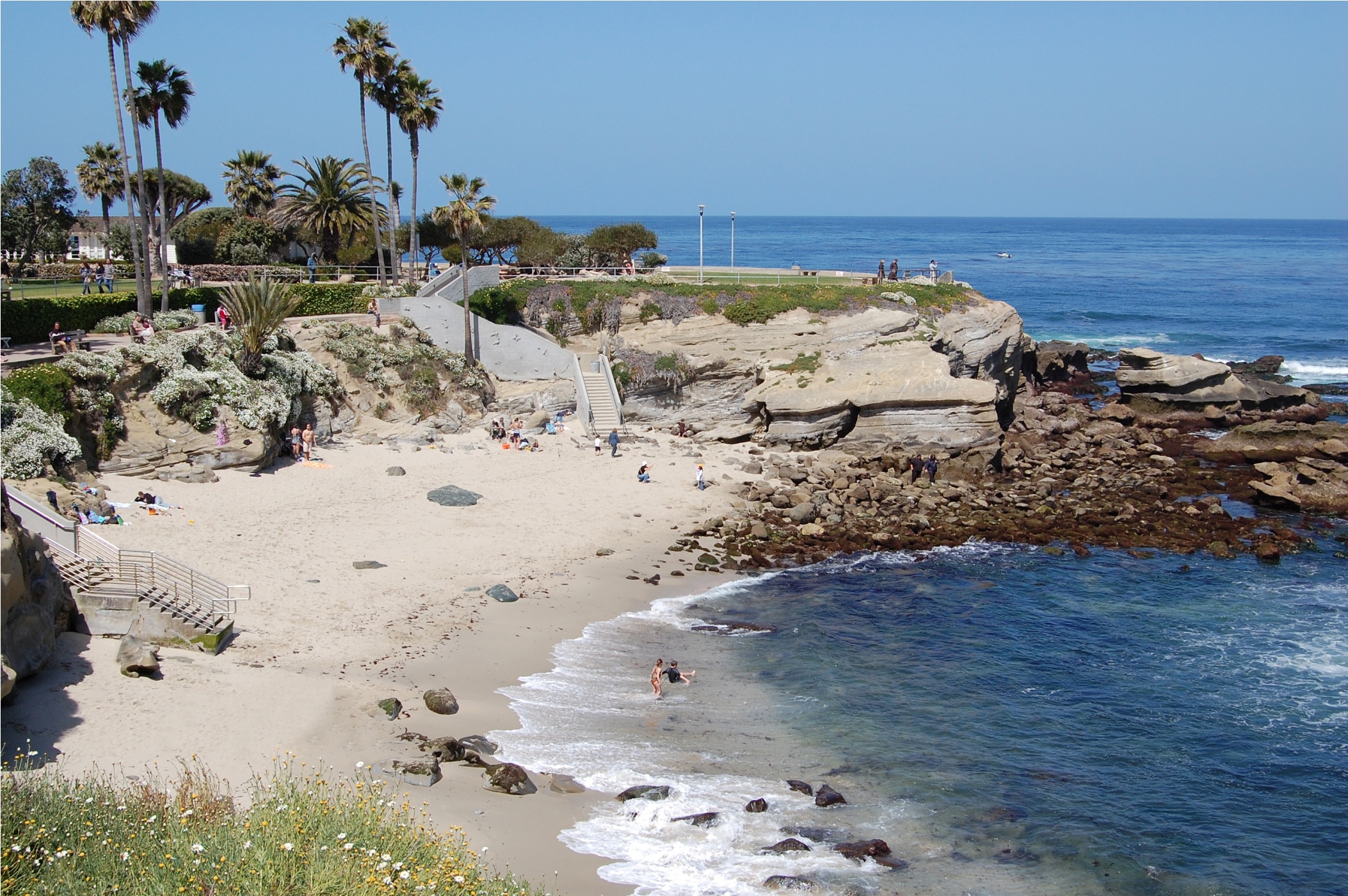 La Jolla Cove, A Paradise For Swimming and Diving - Traveldigg.com