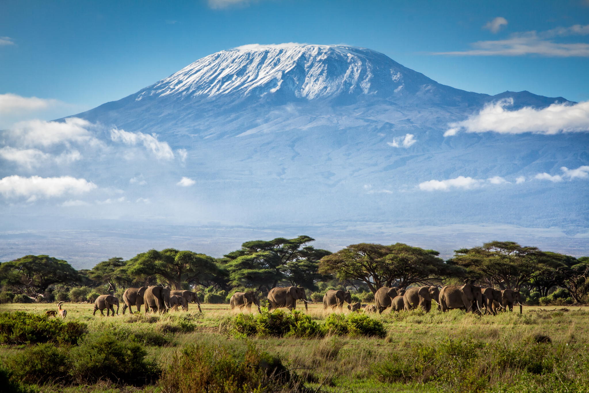 climb kilimanjaro safari and zanzibar