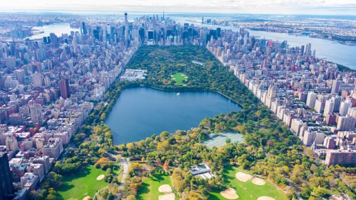 Central Park, The Most Famous Park in New York, United States ...