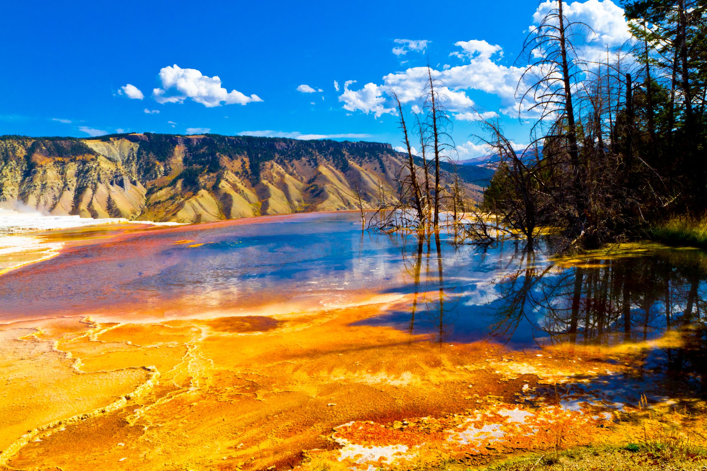 The Beauty of Yellowstone National Park - Traveldigg.com