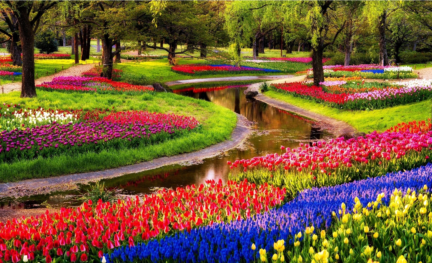 Keukenhof A Haven Of Tulips In Amsterdam The Netherlands