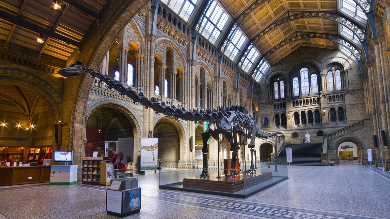 How Much Is It To Get In The Natural History Museum