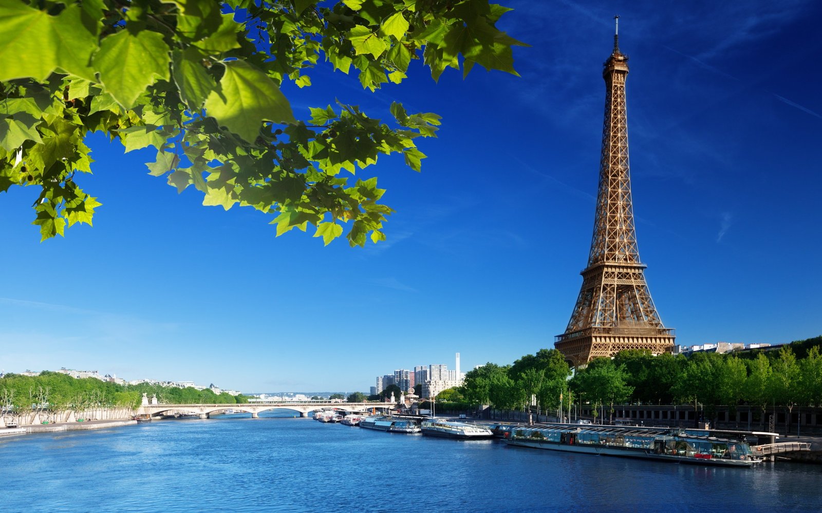 Seine River Paris 