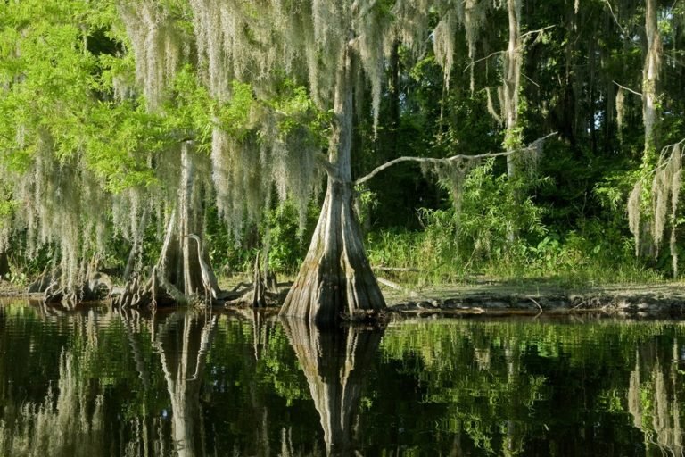 Everglades National Park, Wildlife Tourism In Florida - Traveldigg.com