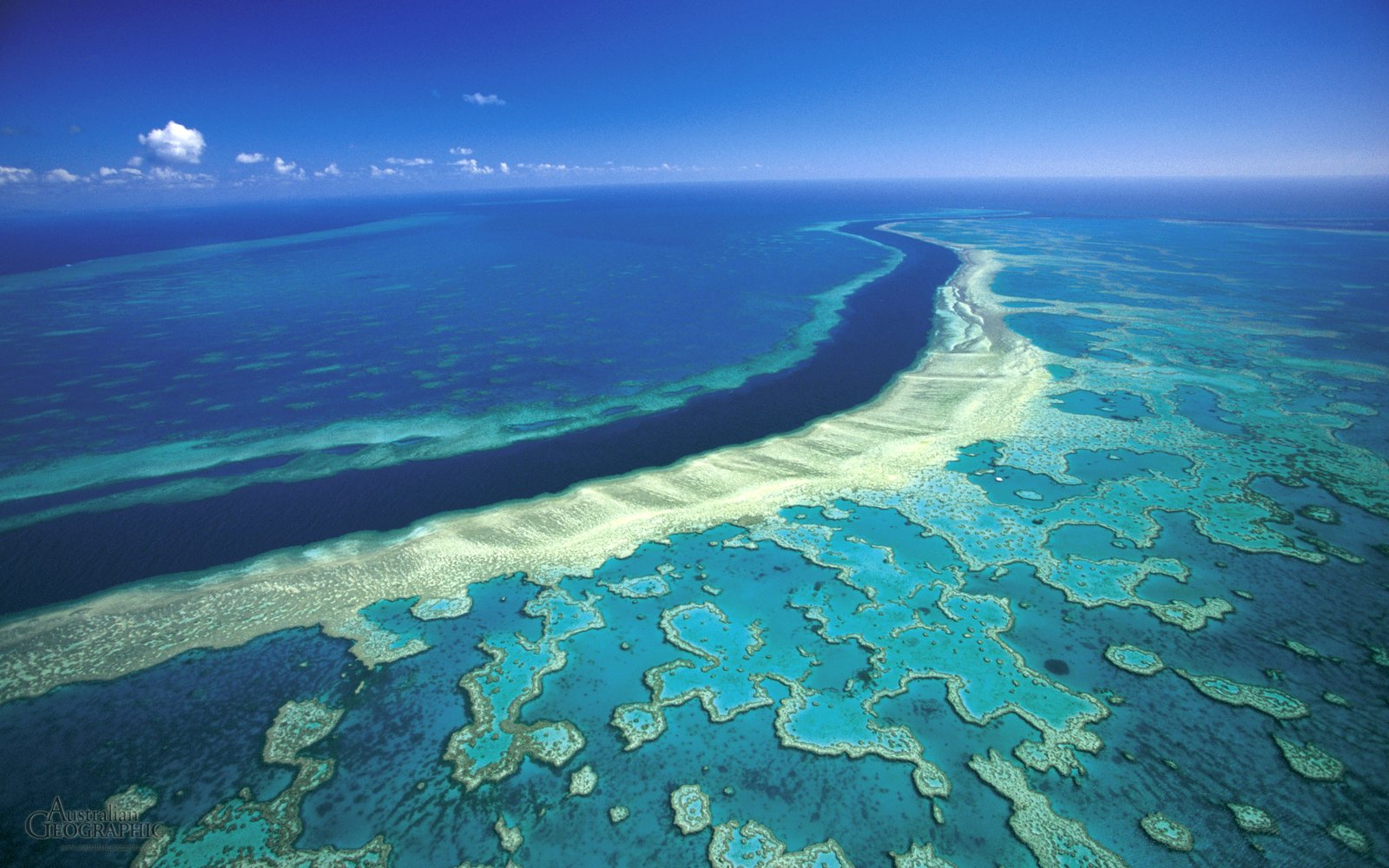 Cairns Australia Great Barrier Reef Leo L wchen