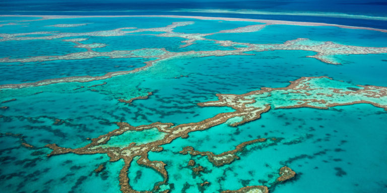 Great Barrier Reef, The Largest Coral Reef Tourism in The World ...
