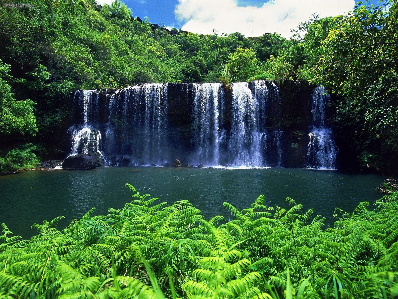 kauai-the-beauty-of-the-oldest-island-in-hawaii-traveldigg