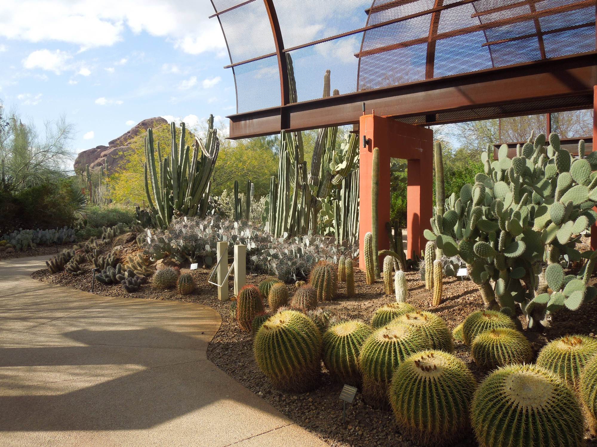 Desert Botanical Garden, Phoenix, Central Arizona ...