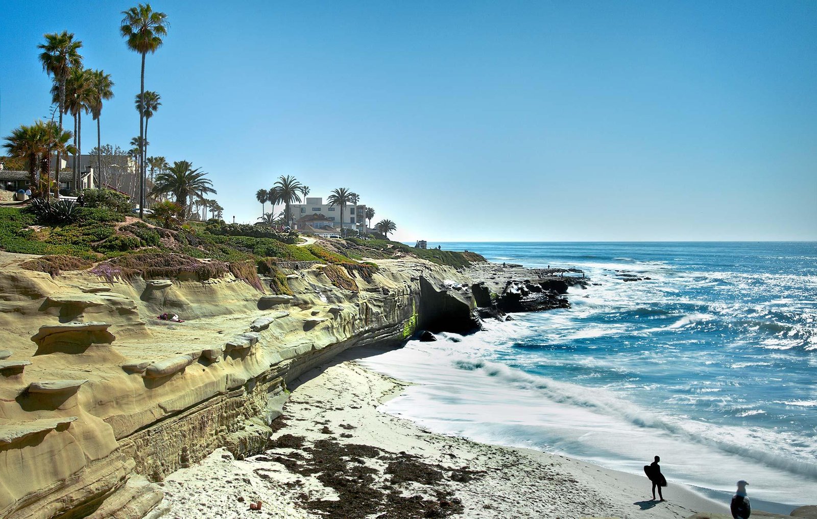 Images of LA JOLLA - JapaneseClass.jp