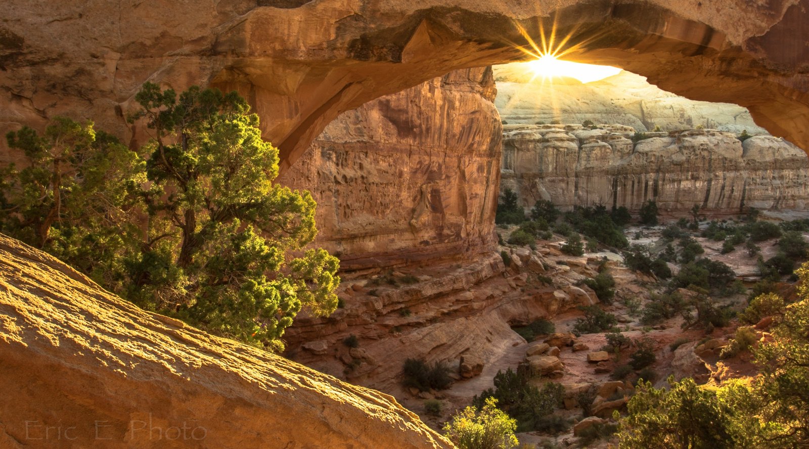Capitol Reef National Park Photography Olympic National Park The 