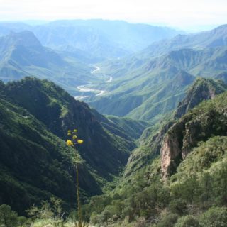 Copper Canyon Pictures Mexico