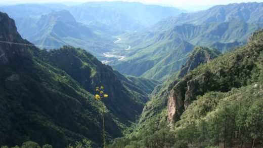 Copper Canyon Pictures Mexico