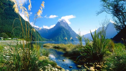Fiordland National Park Panorama