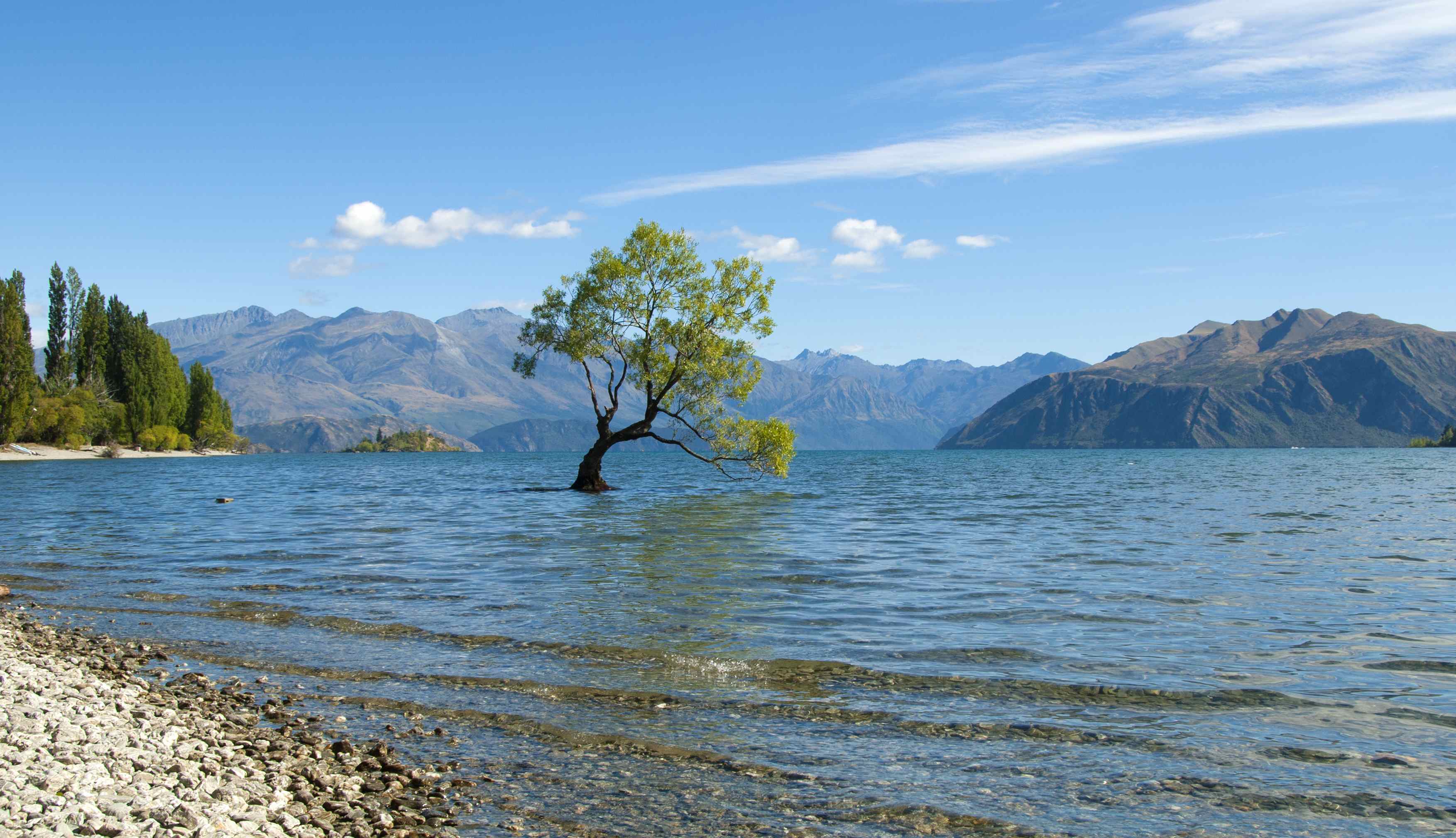 Lake Wanaka New Zealand Back To Nature