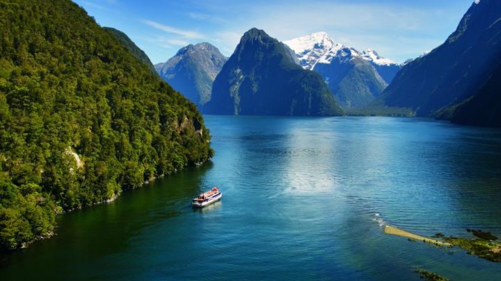 Milford Sound, New Zealand: Traces of The Sea in The Green Valley of ...