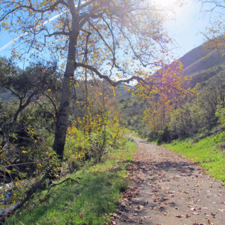 Solstice Canyon Hike Path