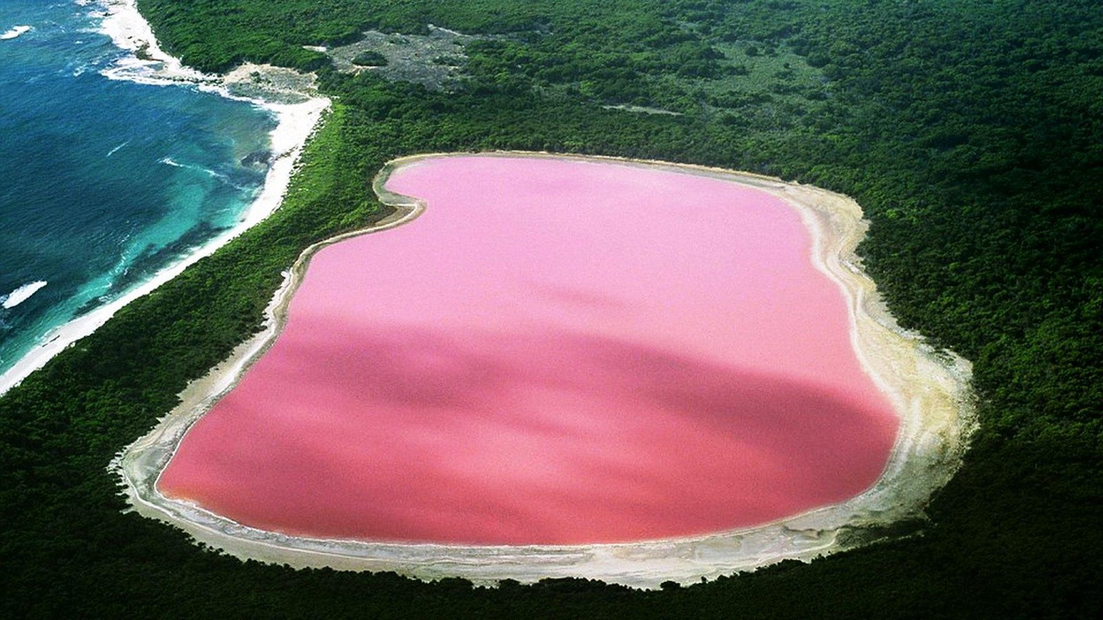 Lake Hillier The Unique Pink Lake In Western Australia