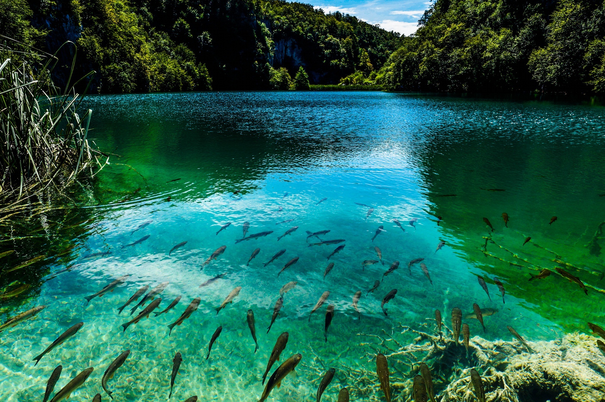 И тихая прозрачная вода. Плитвицкие озёра Хорватия. Хорватия нац. Парк Плитвицкие озера. Плитвицкие озера - крупнейший национальный парк Хорватии. Плитвицкие озёра достопримечательности Хорватии.